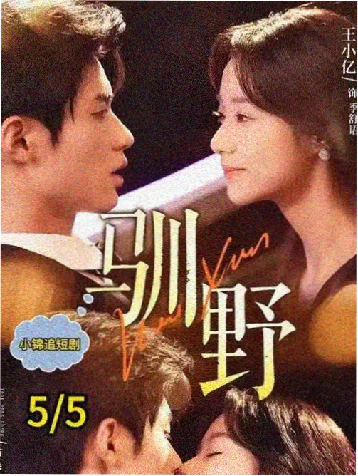 乡村爱情17部全集 收视率